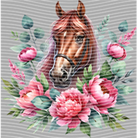 Animal Integration-DW 612